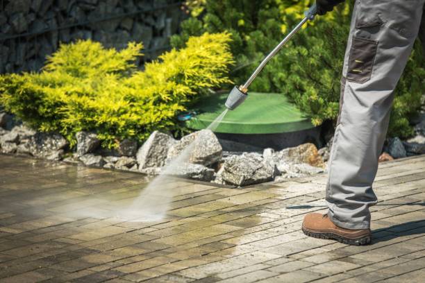 Best Sidewalk and Walkway Cleaning  in Keyser, WV